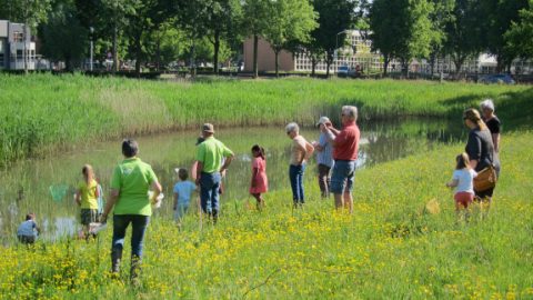 waterdiertjes_scheppen_4