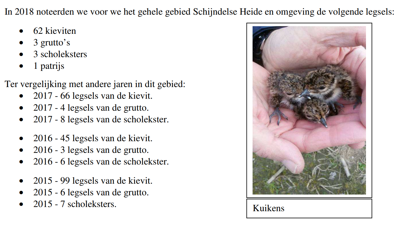 Jaarverslag weidevogels
