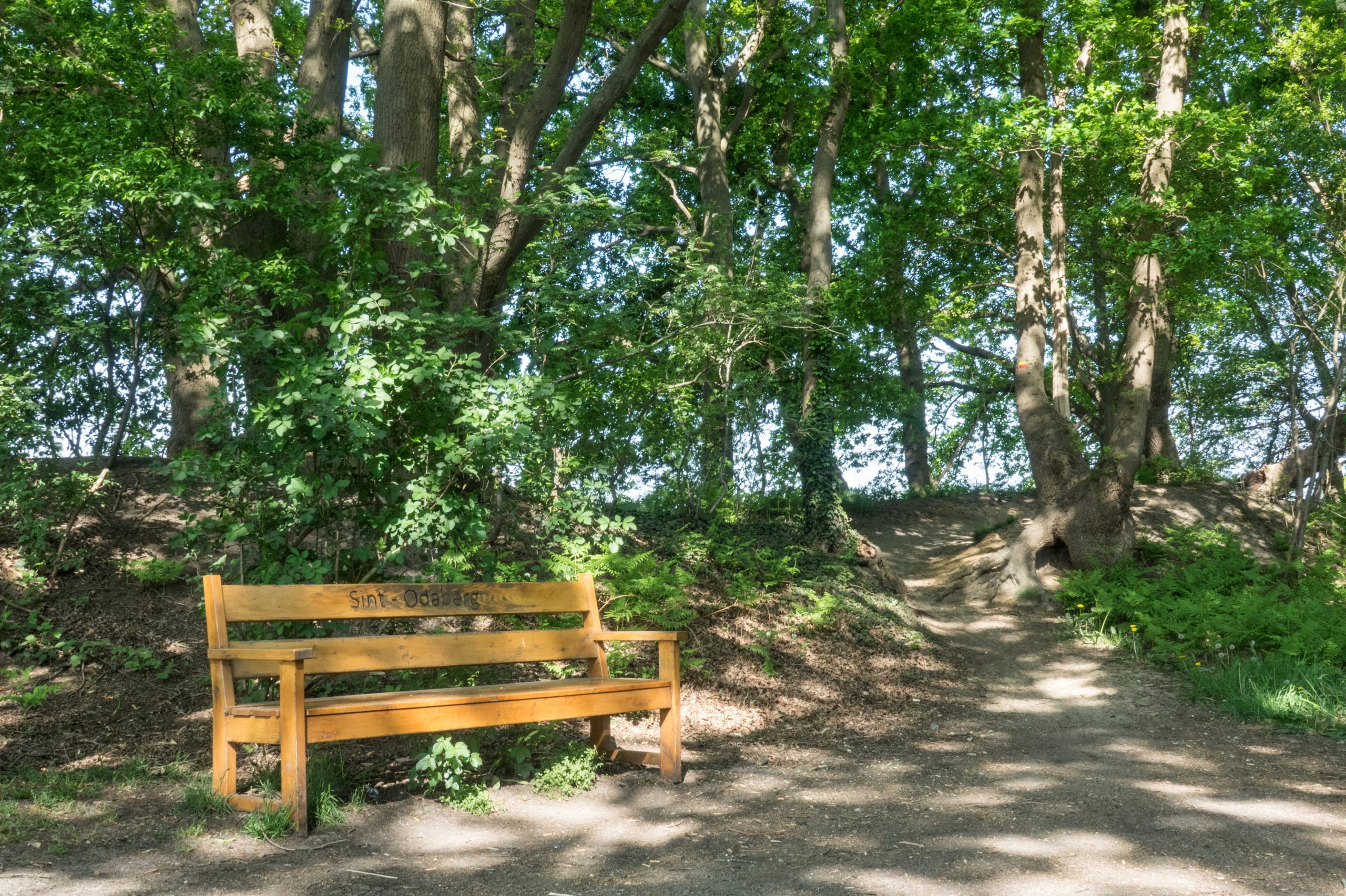 Sint Odaberg Hoogakkerpad Sint-Oedenrode