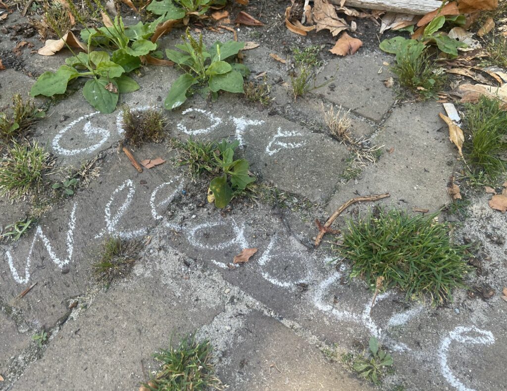 Stoeptegels met witte krijttekst "Grote Weelde" en omringend onkruid en bladeren.