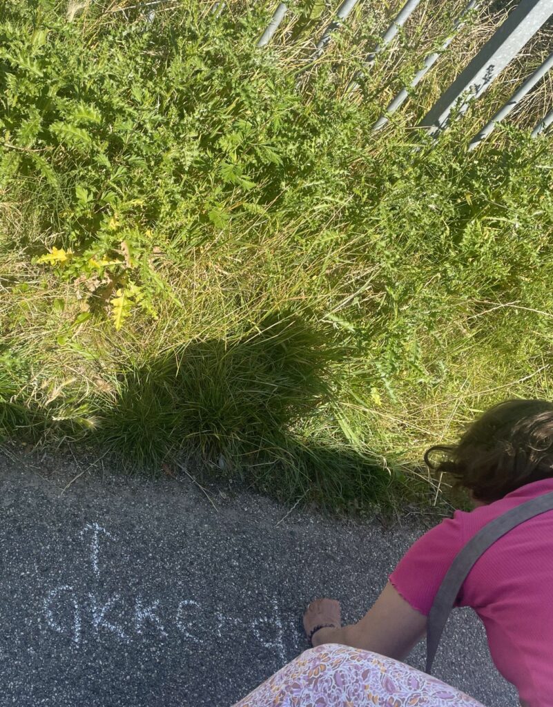 Persoon schrijft met krijt op het trottoir, naast groene struiken en hekwerk.