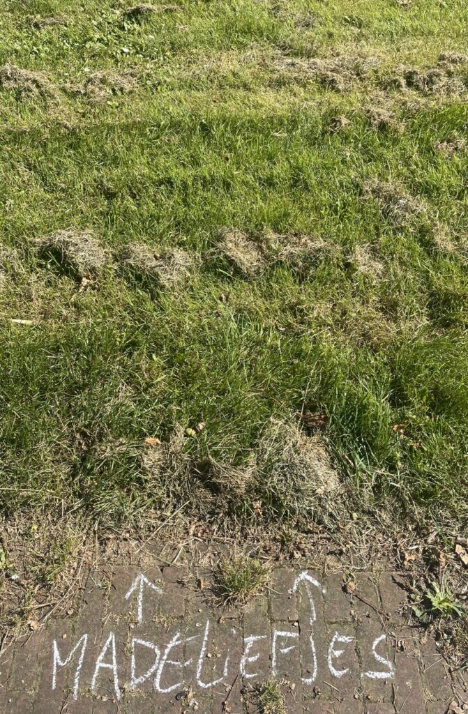 Grasveld met krijttekening op stenen: "MADELEIFJES" met pijlen naar het gras.