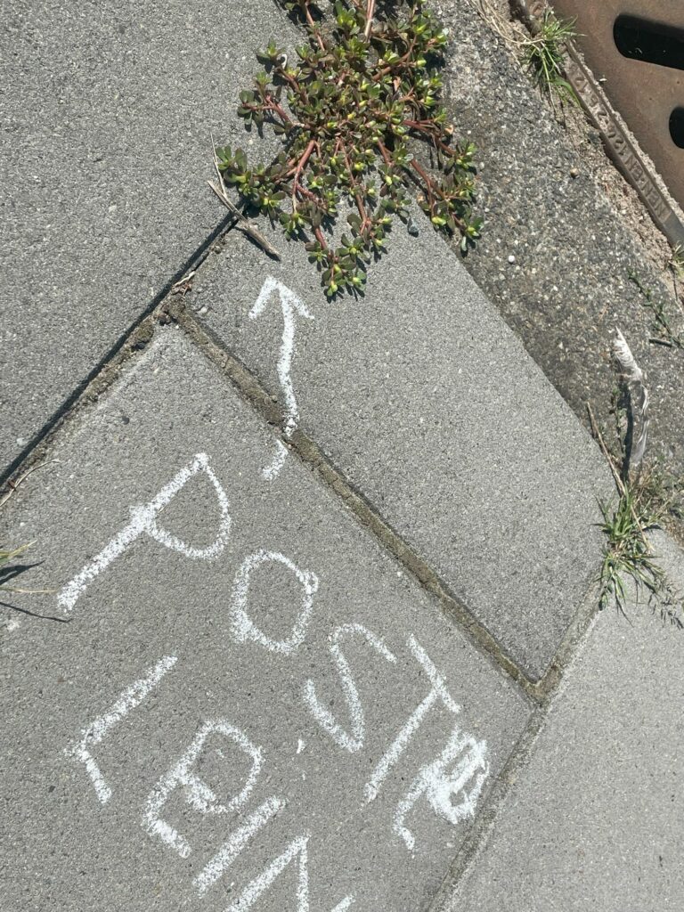 Straattegel met krijttekening, pijl en tekst naar een bed met groene planten langs de stoep.