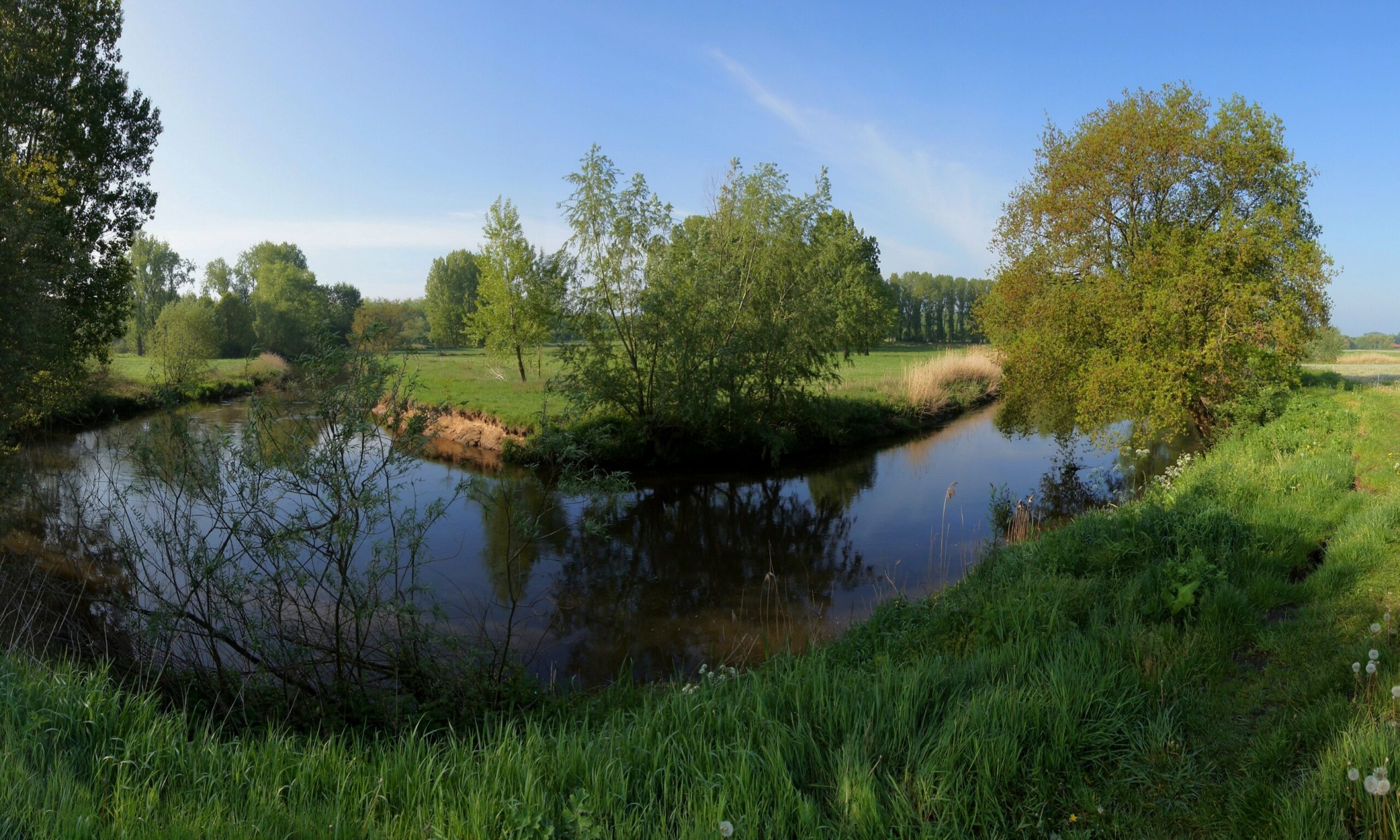 Rustig kronkelende beek omzoomd door groene velden en bomen onder een heldere blauwe lucht.