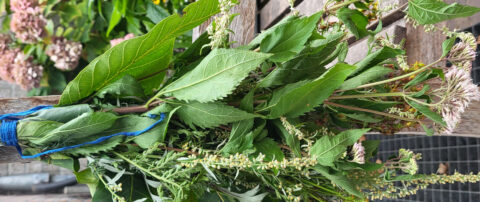 Een bundel groene bladeren en bloemen, samengebonden met een blauw koord op een houten oppervlak.