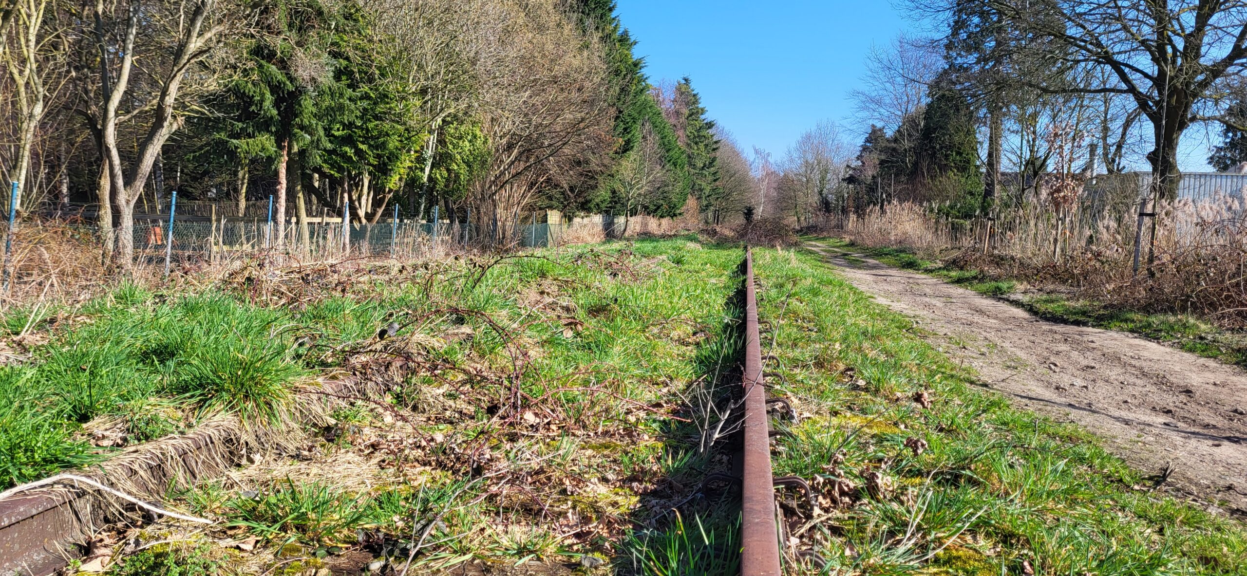 Verlaten spoorlijn overwoekerd door gras en takken, naast een zandpad, omgeven door bomen.