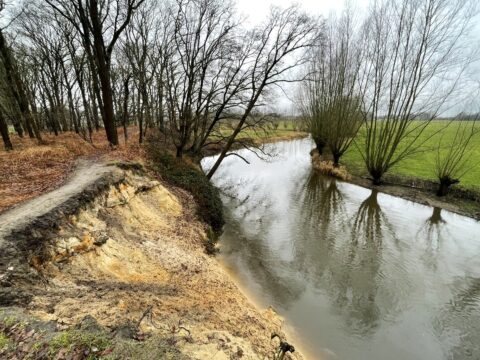 Rivier met erosiekant en kale bomen langs oever; grasveld aan rechterkant.