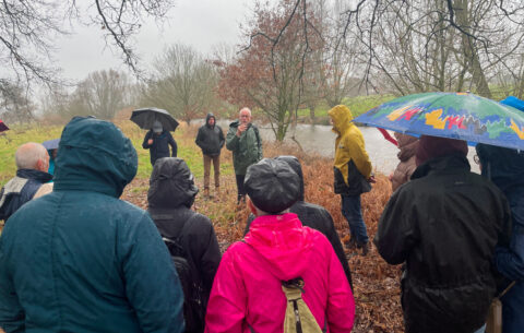 Groep mensen met paraplu's luistert naar een spreker in een regenachtig, bosrijk gebied.