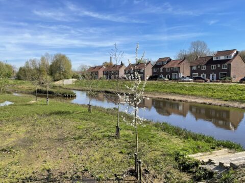 Rivier met huizenrij en bloeiende boom onder blauwe lucht.