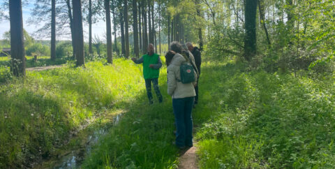 Een gids leidt een groep mensen op een bosachtig pad bij zonnig weer.