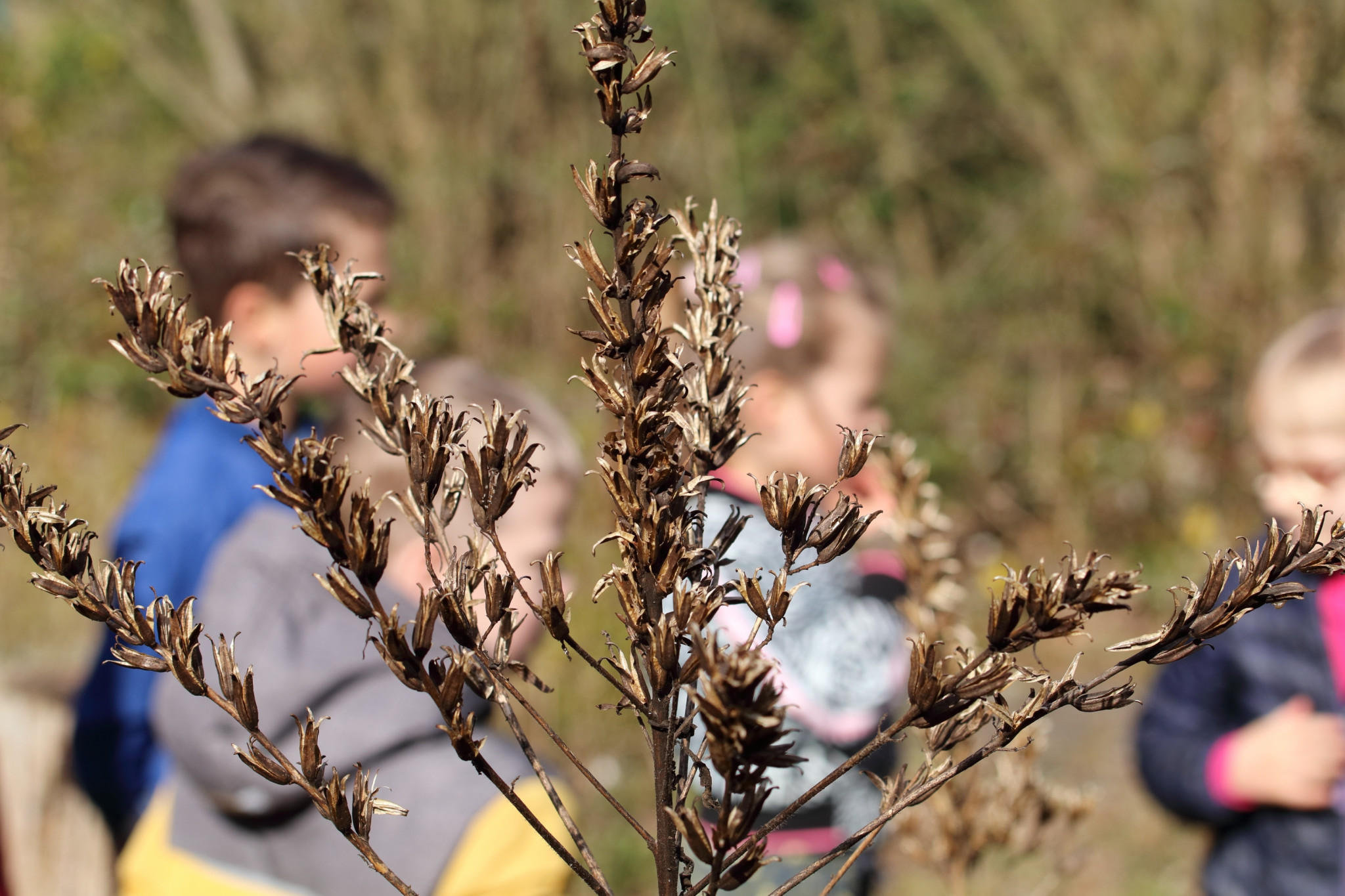 kinderen in IVN tuin