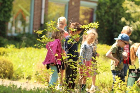 kinderen in kruidentuin