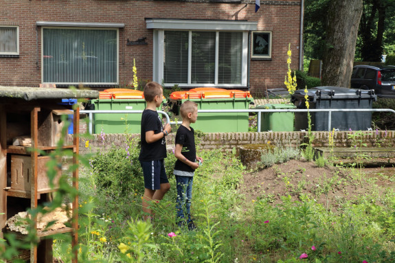 Zoeken naar planten (memory spel)