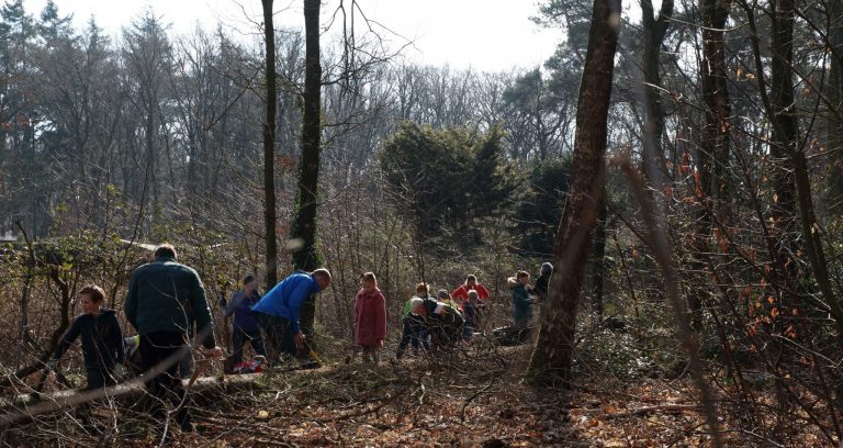 Bomen planten