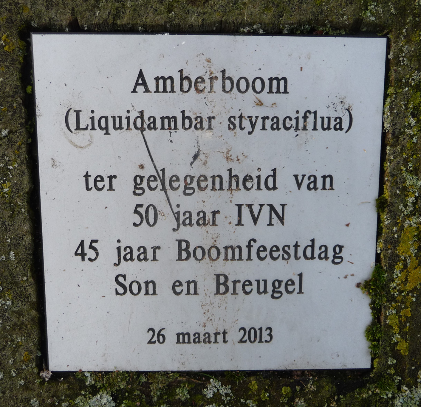 Wandeling van de maand – Herdenkingsbomen