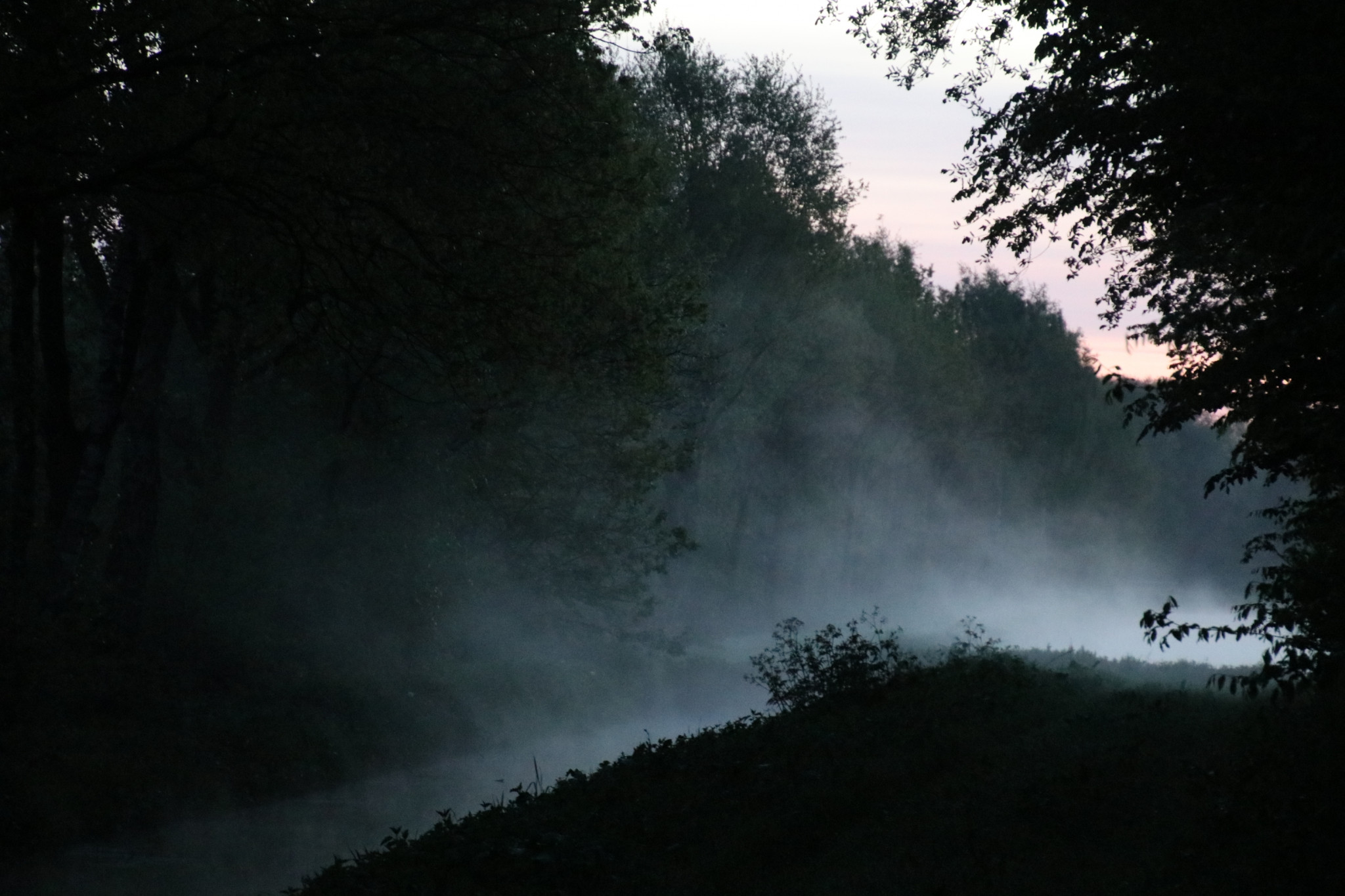 Vroegevogelwandeling