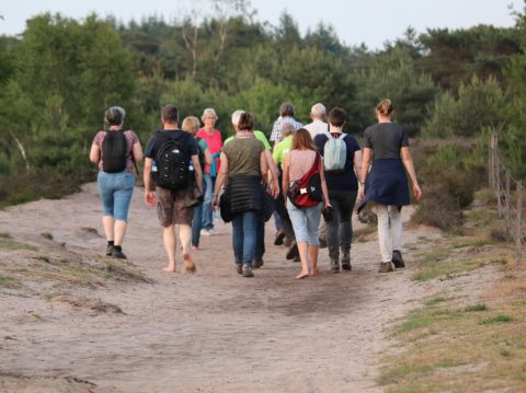 Wandelingen in en rond Son en Breugel