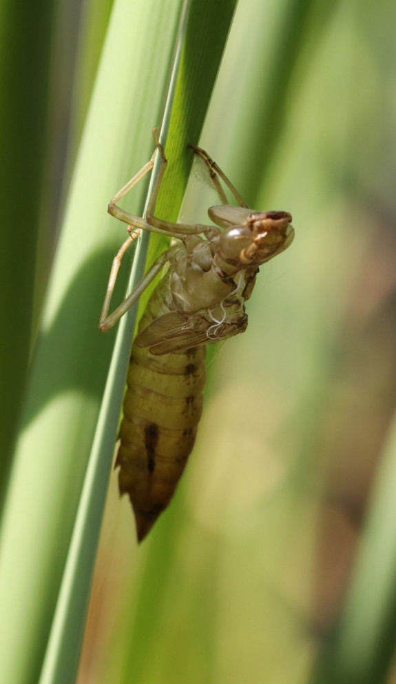 2021_06_13_10_34_02_2562_eos_80d