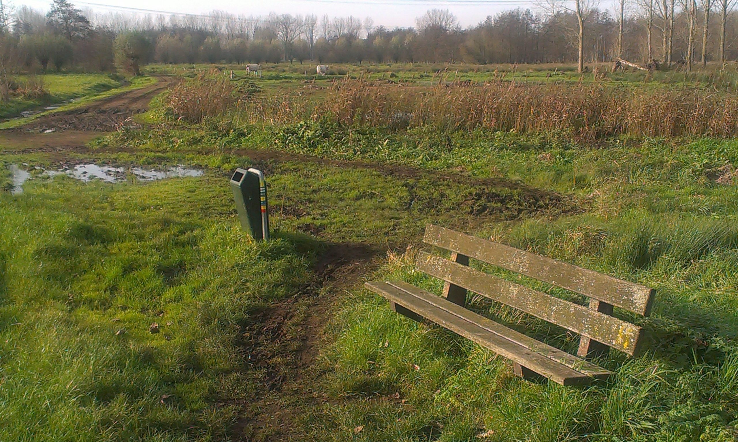 bankje modder, Olen, Snertwandeling