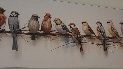 Schilderij van vogels in diverse kleuren, zittend op een tak tegen een witte achtergrond.