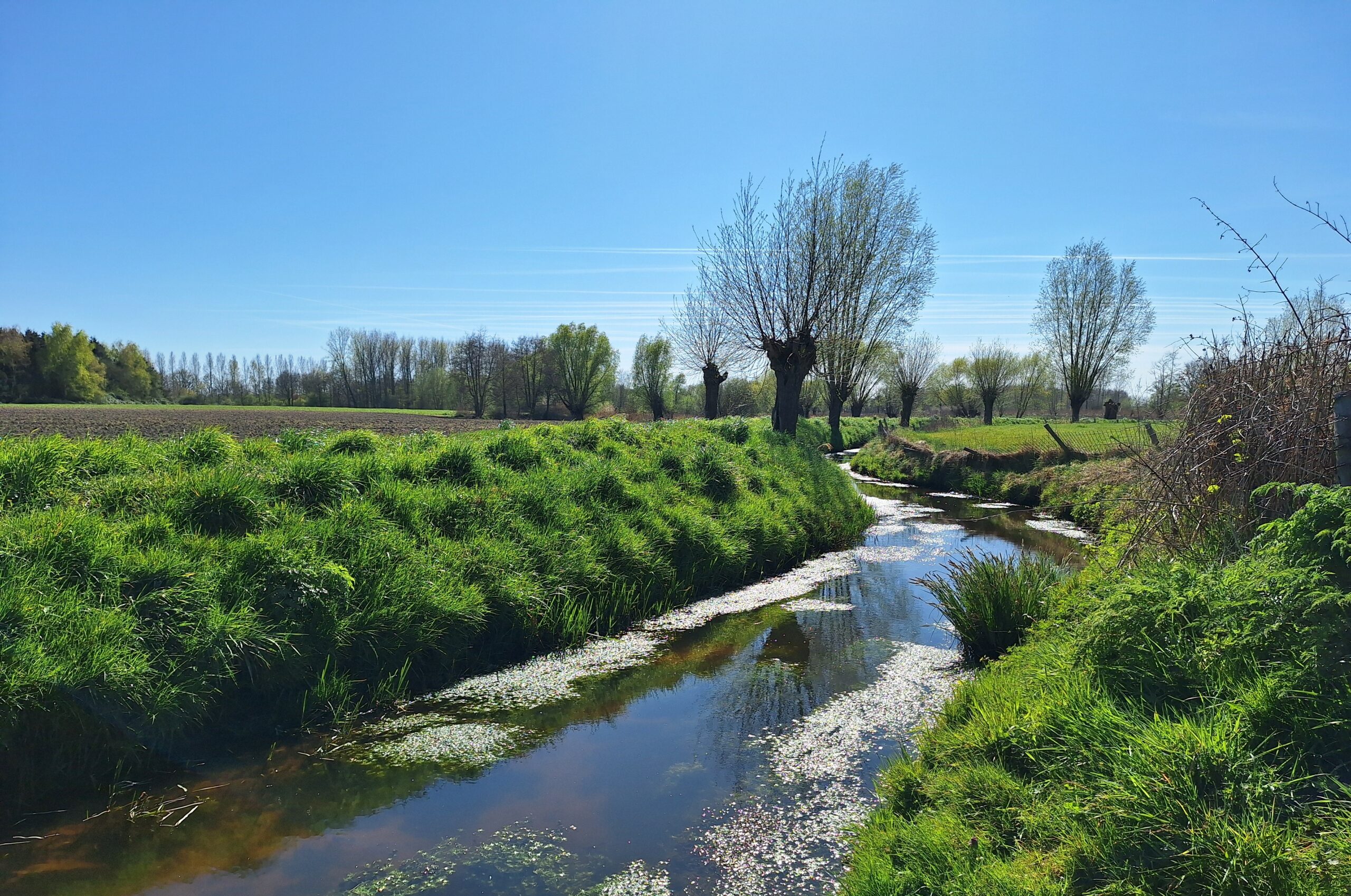 Landschap met een kabbelende beek, groene oevers en kale bomen onder een heldere blauwe lucht.
