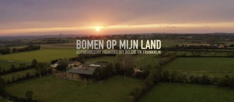 Zonsondergang boven agrarisch landschap met tekst: "Bomen op mijn land, Agroforestry Pioniers".
