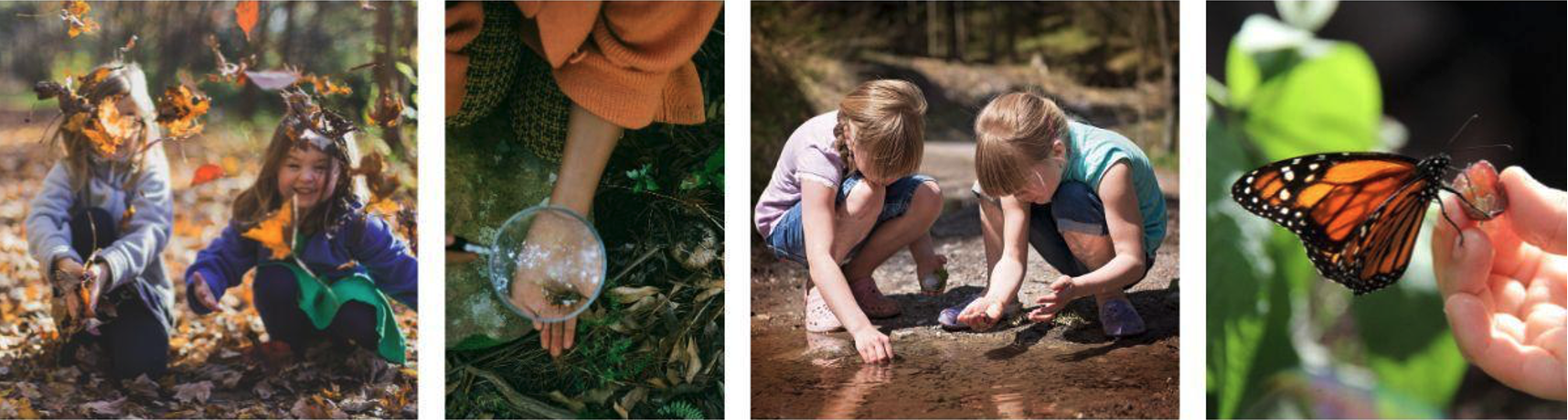 Vier foto's van kinderen die buiten spelen: met bladeren, loep, modderpoel en vlinder.