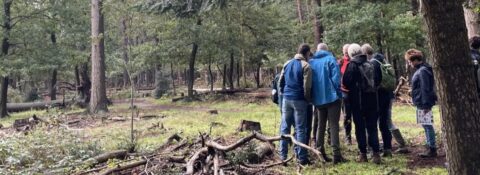 Mensen staan in een bos, omringd door bomen en takken, terwijl ze iets in de natuur observeren.