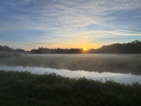 Zonsopgang boven een mistig veld met bomen aan de horizon en een rustige rivier op de voorgrond.