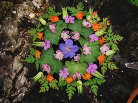 Bloemenmandala op boomstronk, met kleurrijke bloemen en bladeren symmetrisch gerangschikt.