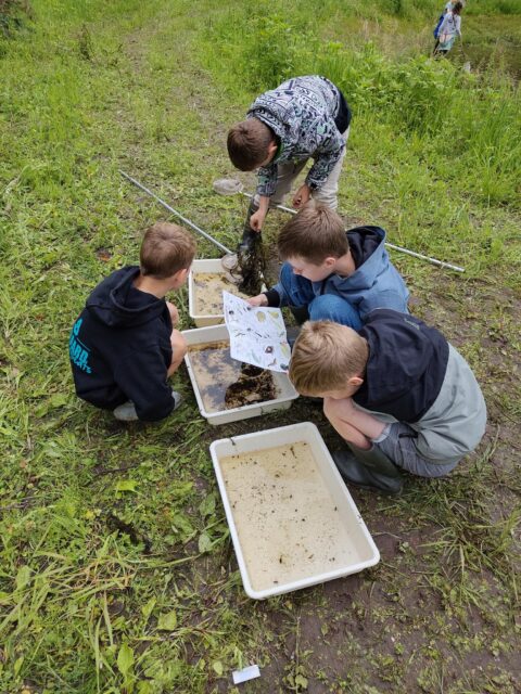 Vier kinderen onderzoeken watermonsters in witte bakken buiten.