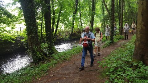 Wandelingen en excursies