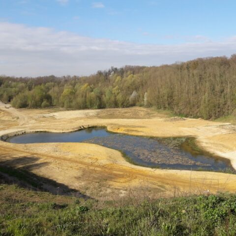 Een droge, zanderige groeve met een kleine vijver, omgeven door groene bossen onder een blauwe hemel.