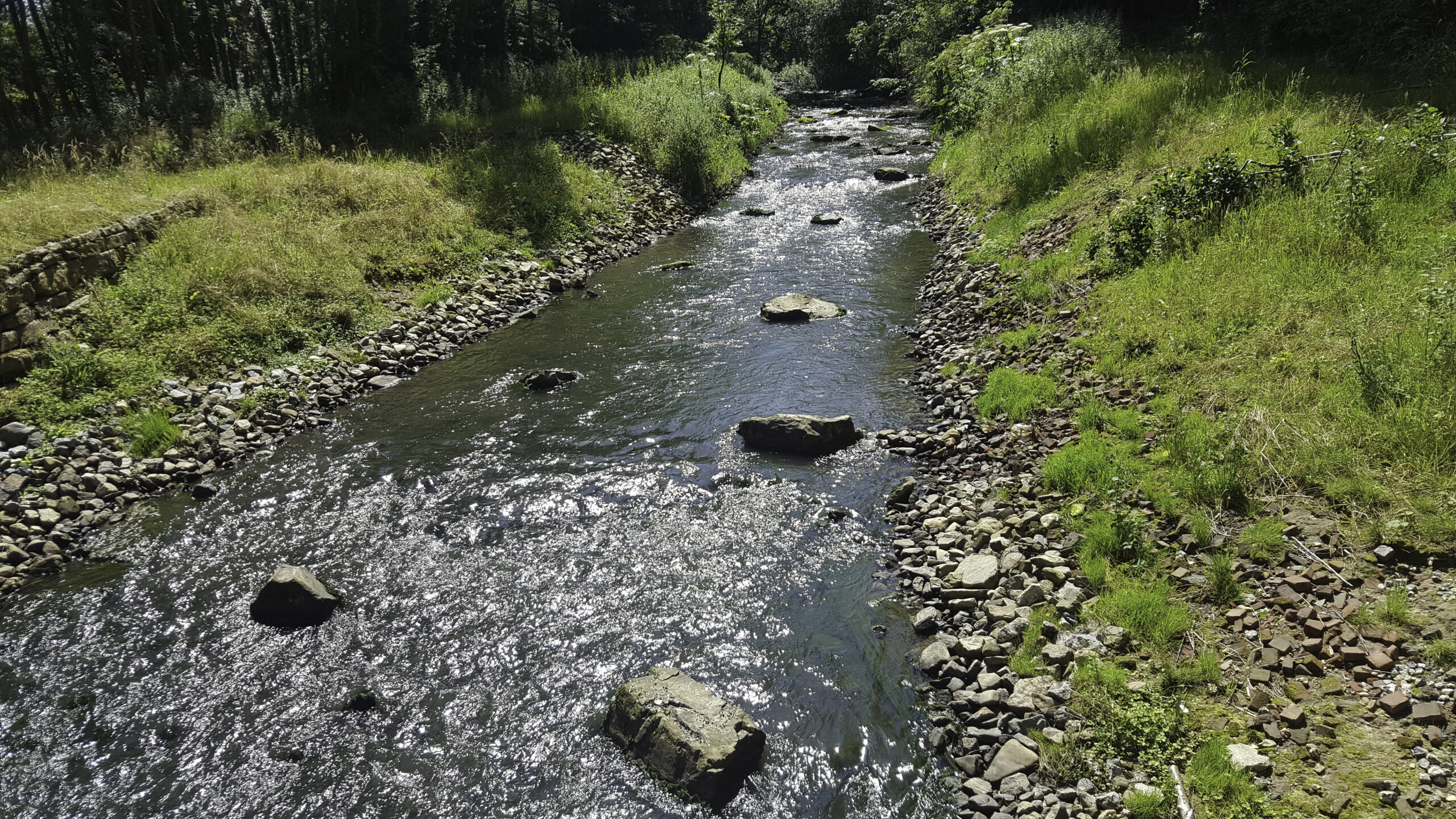 Stromende beek met stenen en groene oevers onder een zonnige hemel.