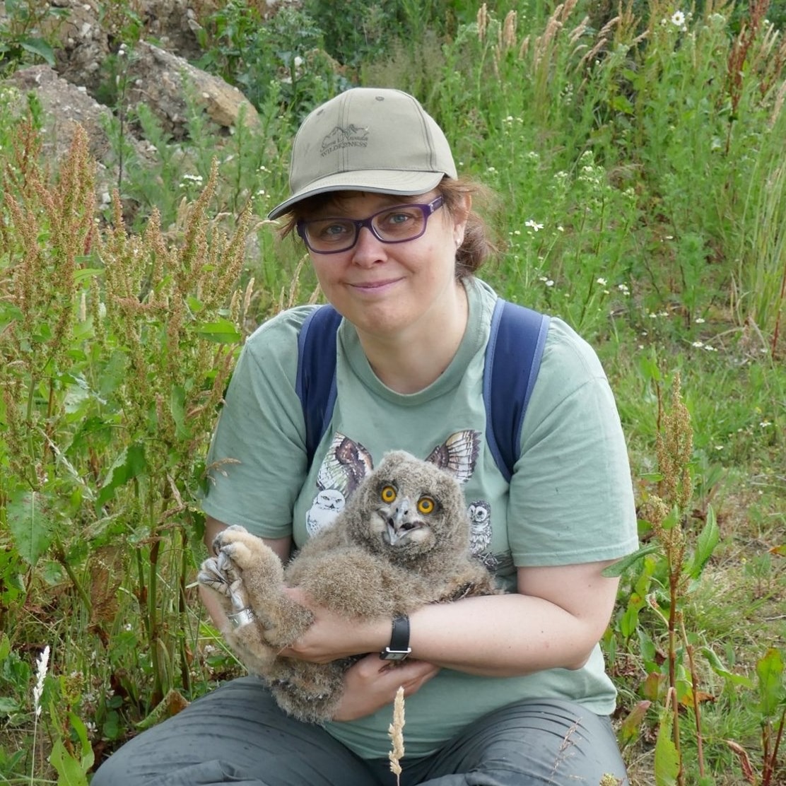 Persoon in groene kleding houdt een jonge uil vast in een grasrijke, natuurlijke omgeving.