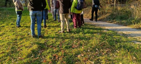 Een groep mensen staat op een grasveld in de natuur tijdens een zonnige dag.