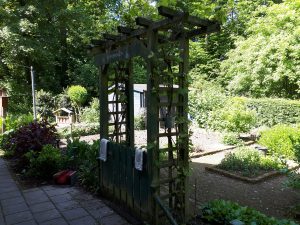 Tuinpad met houten pergola, omgeven door groene struiken en bomen op een zonnige dag.