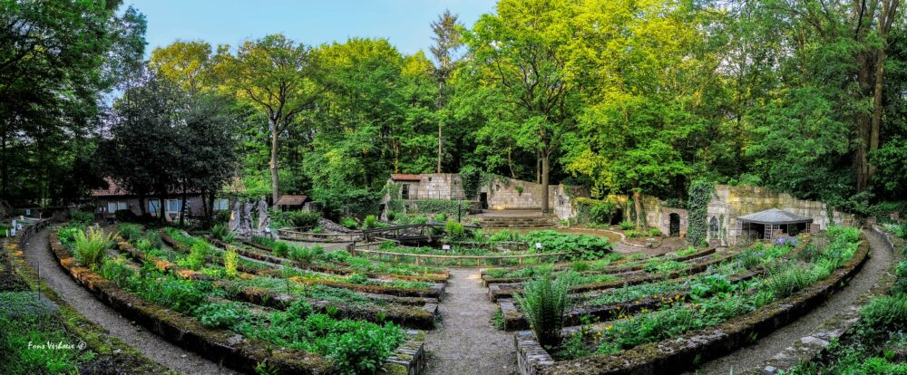 Bostheater met botanische tuinen en stenen terrassen, omgeven door weelderige groene bomen.