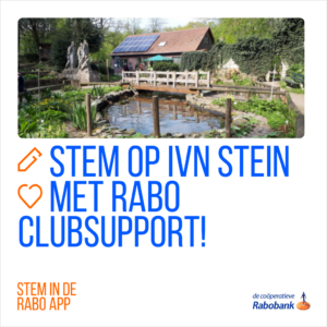 Afbeelding van een tuin met vijver. Tekst: "Stem op IVN Stein met Rabo ClubSupport!"