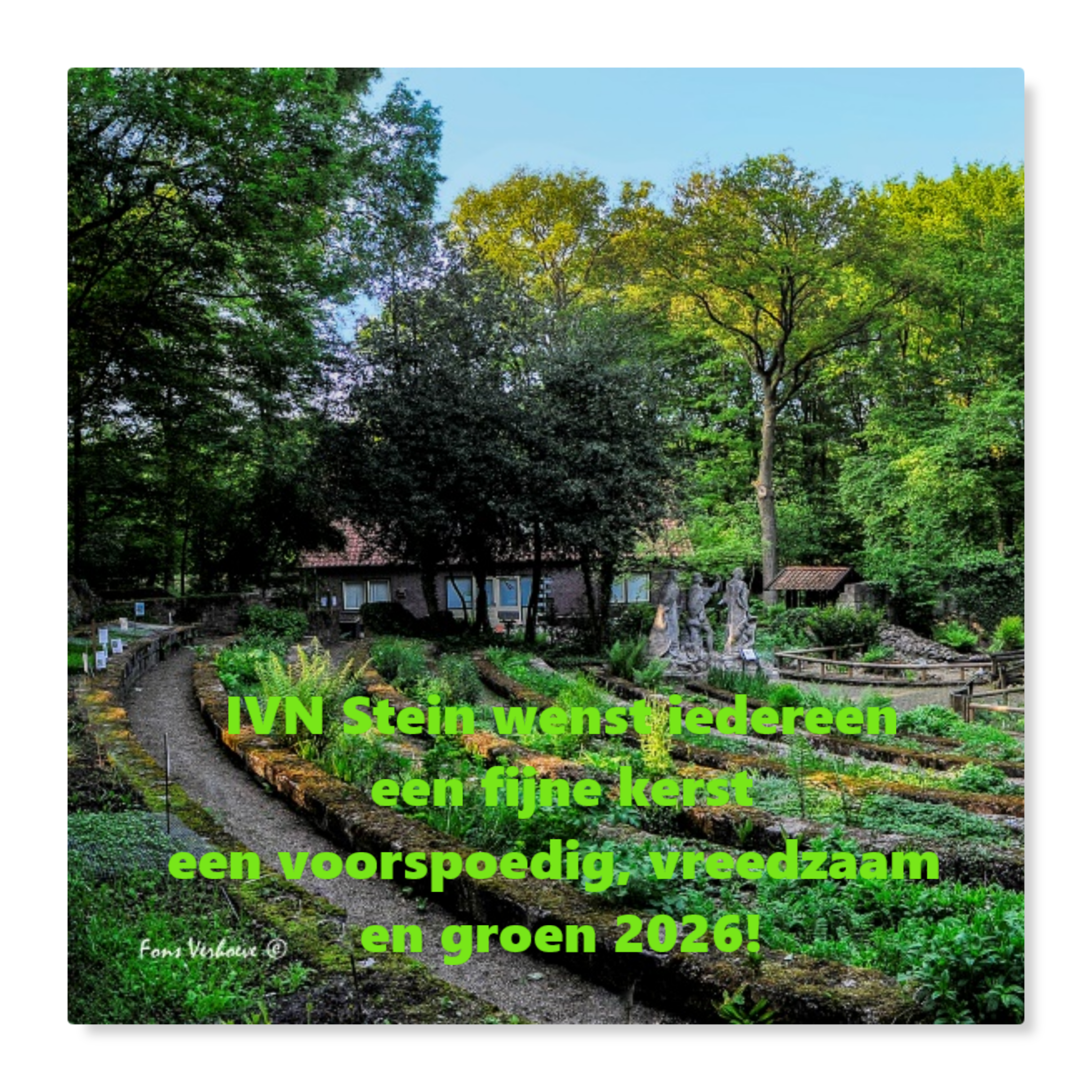 Een groene tuin met kerstwens van IVN Stein voor een voorspoedig 2026.