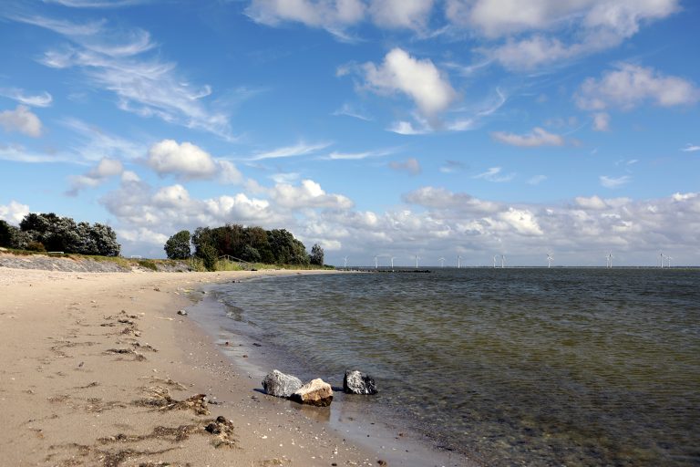 Ledenexcursie over het Oudemirdumerklif en langs de IJsselmeerkust op 12 juni 2022