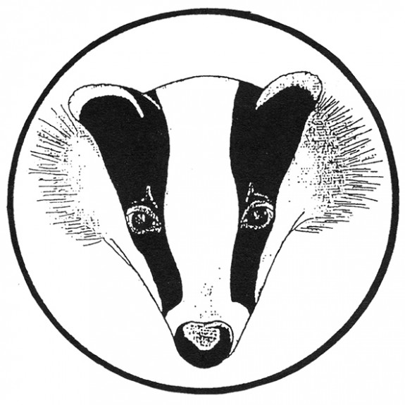 ivn_das_logo_thachsa_kleinformaat