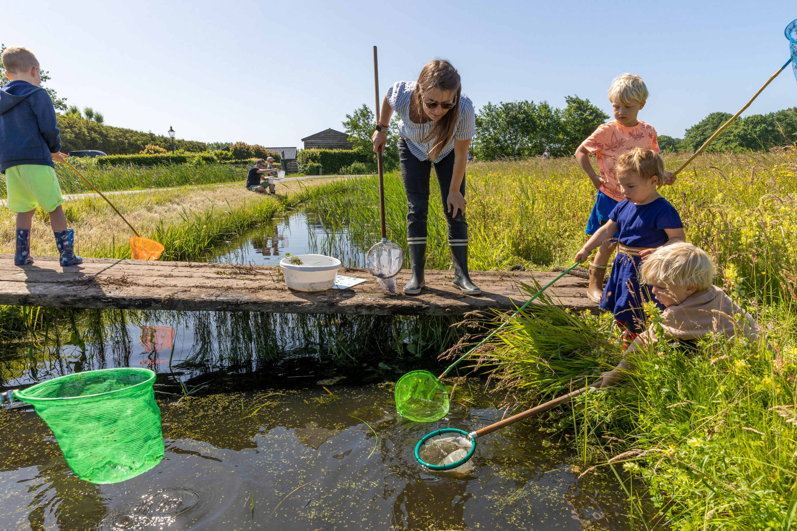 Volwassenen en kinderen vangen waterdieren in een sloot met schepnetten, op een zonnige dag in de natuur.
