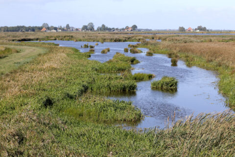 Weids landschap met kronkelende rivier en grasland, huizen aan de horizon.