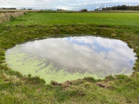 Twee jaar Kolkengroep IVN Texel