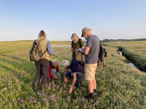 Een groep mensen bestudeert planten in een grasveld bij een sloot onder een blauwe lucht.