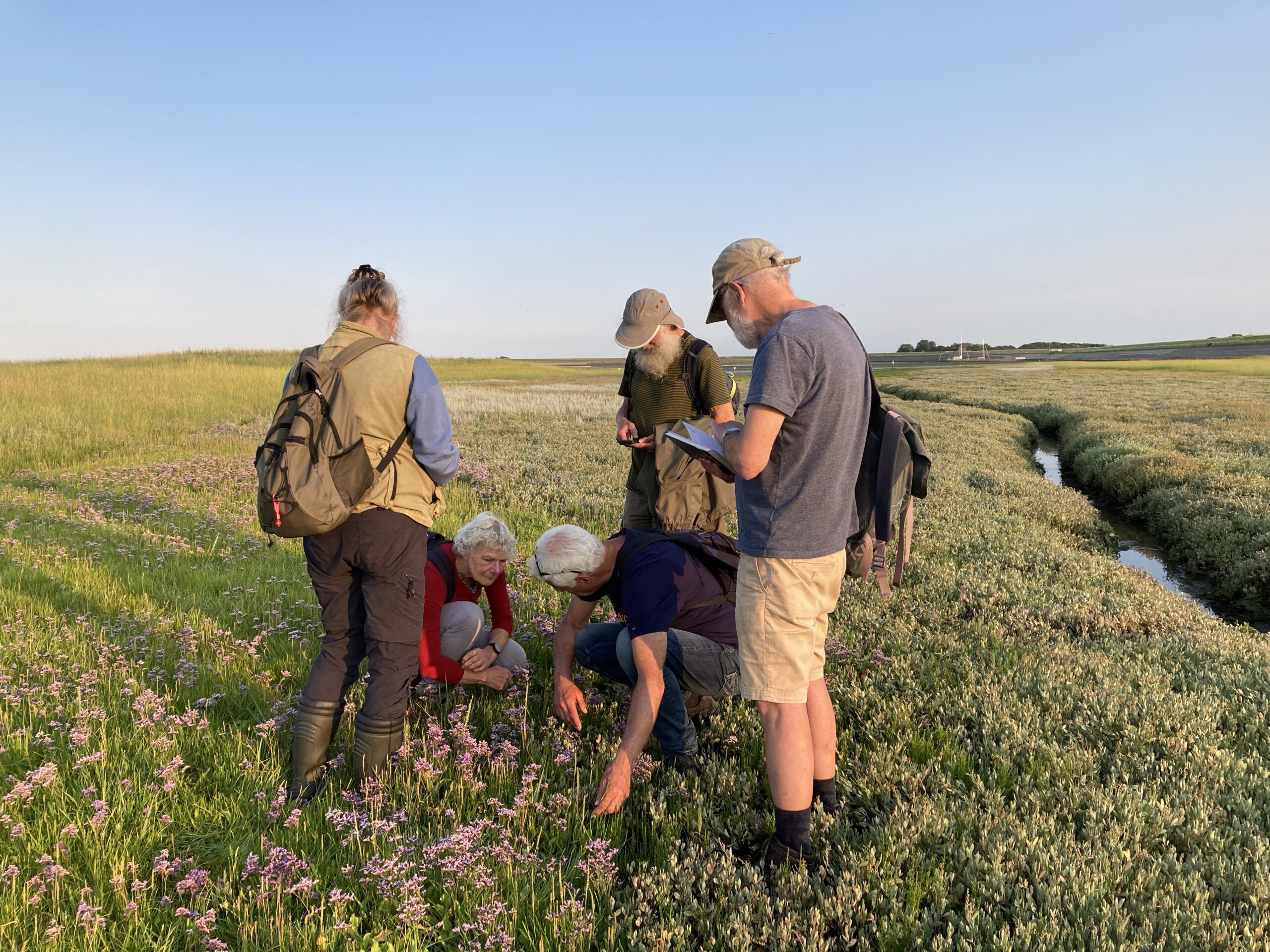 Een groep mensen bestudeert planten in een grasveld bij een sloot onder een blauwe lucht.