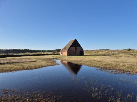 Bakstenen schuur met rieten dak, weerspiegeld in water, omgeven door grasland en blauwe lucht.