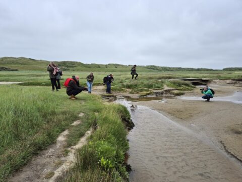 Mensen fotograferen een riviertje in een weids, groen landschap onder een bewolkte hemel.