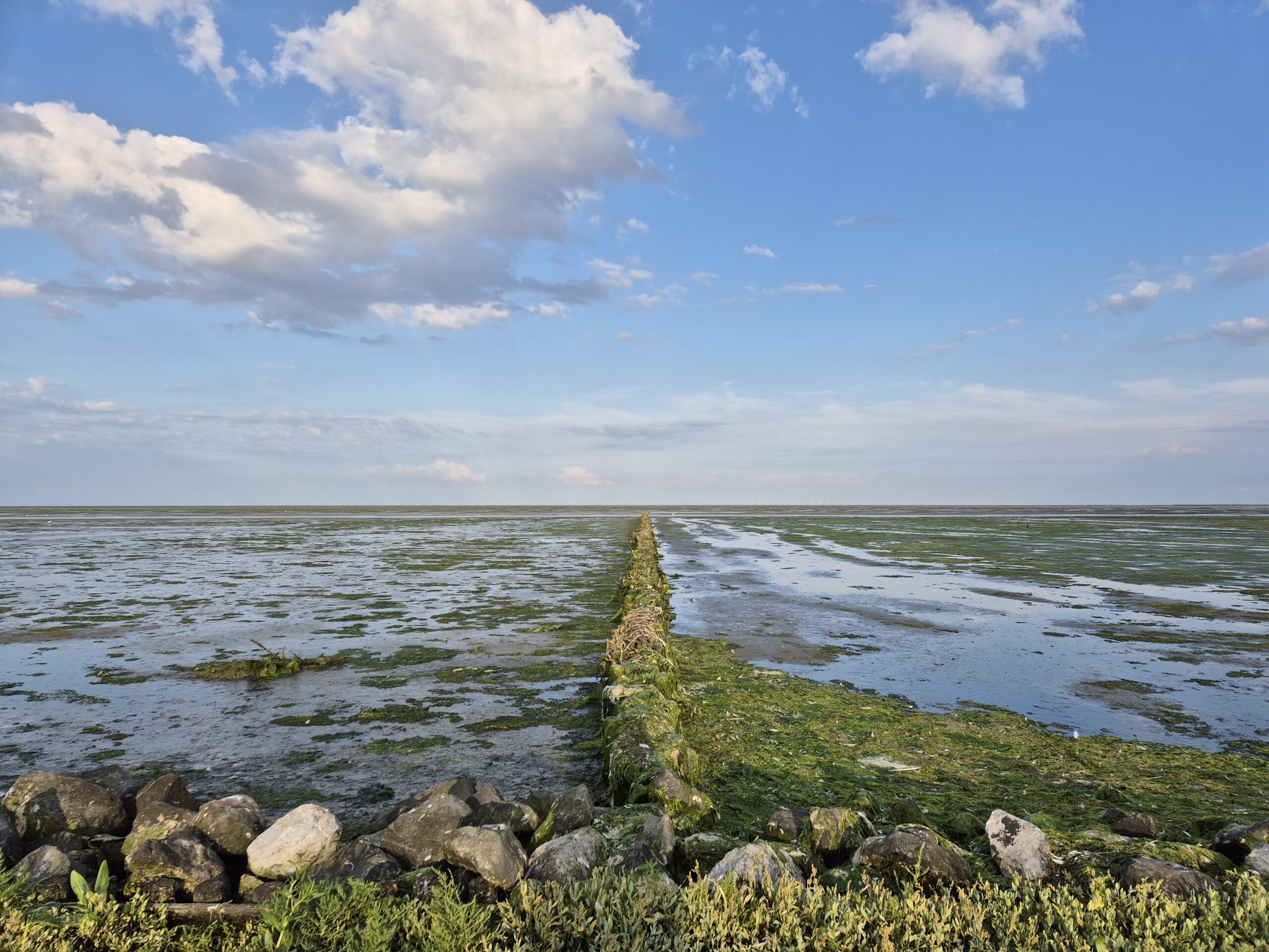 Zeespiegel met dijk en algen, blauwe lucht met wolken. Rustig landschap.